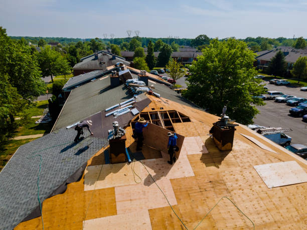 Best Storm Damage Roof Repair  in Rock Creek, AL